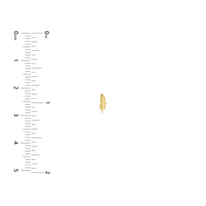 14K Yellow Gold Feather Stud Earrings