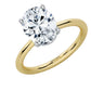 Sylvie 14K Yellow & White Gold Oval Hidden Halo Engagement Ring