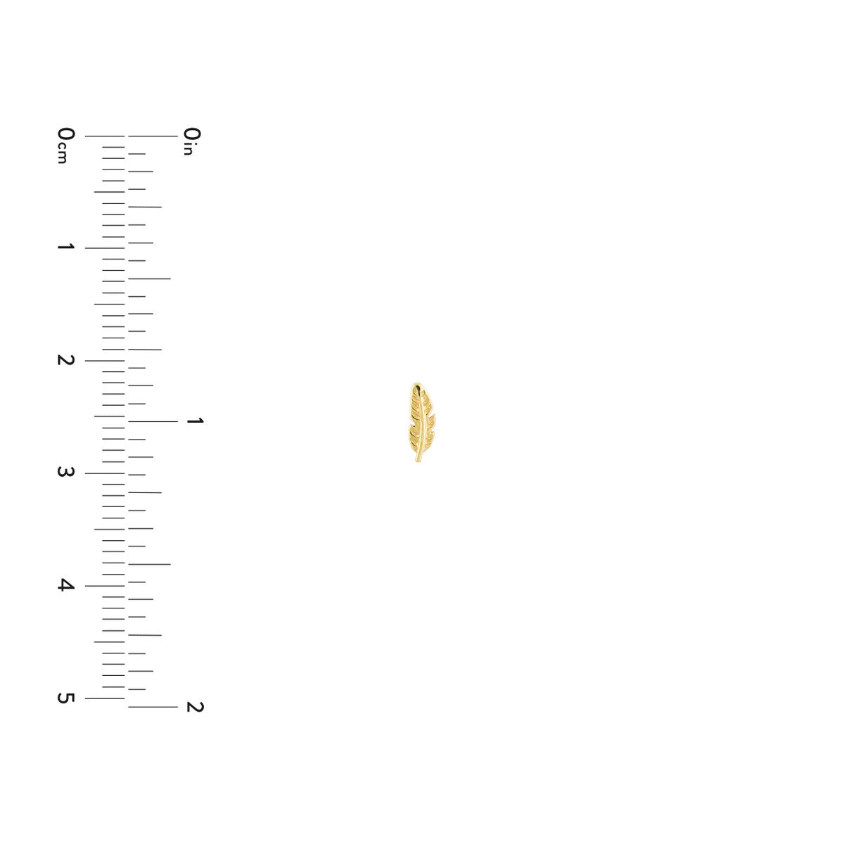 14K Yellow Gold Feather Stud Earrings