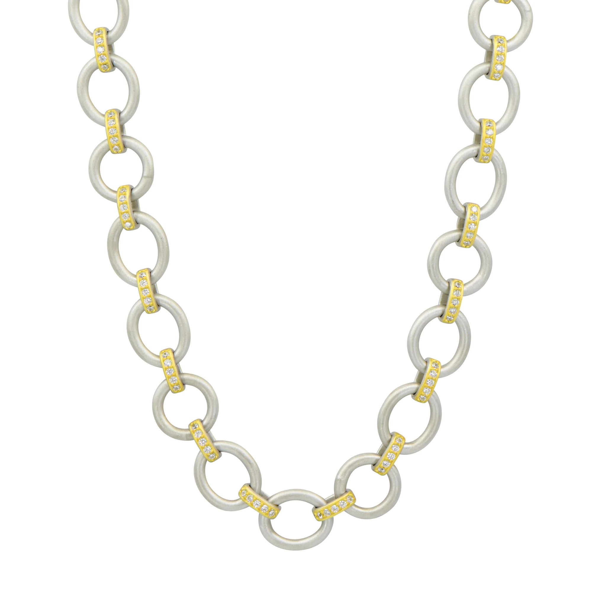 Freida Rothman "The Perfect Chunky Mixed Metal Link Necklace"